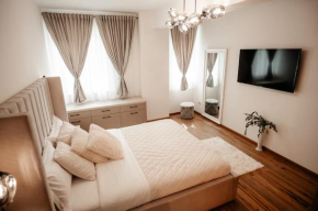 Cosy apartment Bucovina